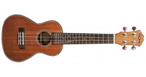 FZONE FZU06M Укулеле концерт