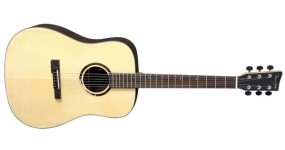 VGS VG501300 R10 Rose Акустична гітара