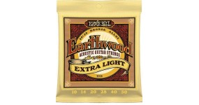 ERNIE BALL P02006 Earthwood Струни для акустичної гітари .010-.050