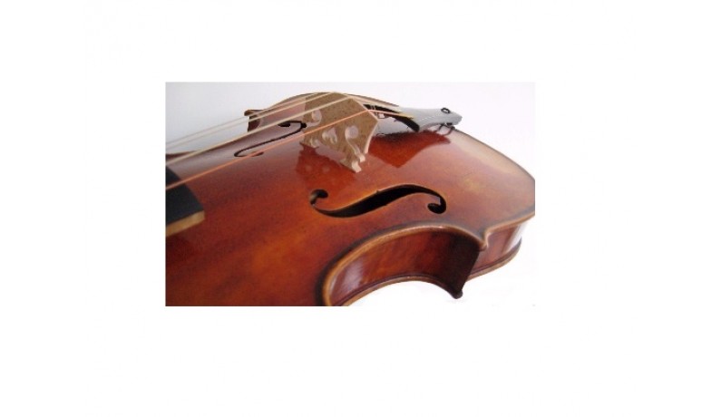 MAXTONE China VN-BG-4/4 Підставка під струни (кобилка) для скрипки 4/4