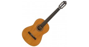 VALENCIA VC204 Класична гітара