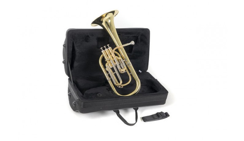 ROY BENSON AH-301 Альт помповий Мі бемоль ROY BENSON AH-301 Альт помповий Мі бемоль