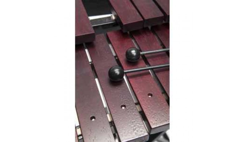 STAGG P XYLO-SET 37 Ксилофон 3 октави STAGG P XYLO-SET 37 Ксилофон 3 октави