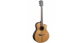 GOPHER WOOD I365 RC Акустична гітара