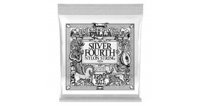 ERNIE BALL P01534 Струна для класичної гітари №4, (D)