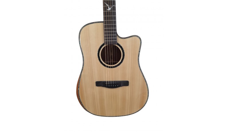 FIESTA D2/N EQ Трансакустична гітара FIESTA D2/N EQ Трансакустична гітара