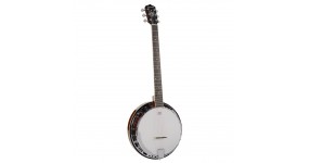RICHWOOD RMB-606 Банджо 6 струн