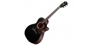 GOPHER WOOD I232 RC Midnight Dust Акустична гітара GOPHER WOOD I232 RC Midnight Dust Акустична гітара